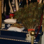 Prinzenproklamation Gürzenich - Probe (08.01.09)